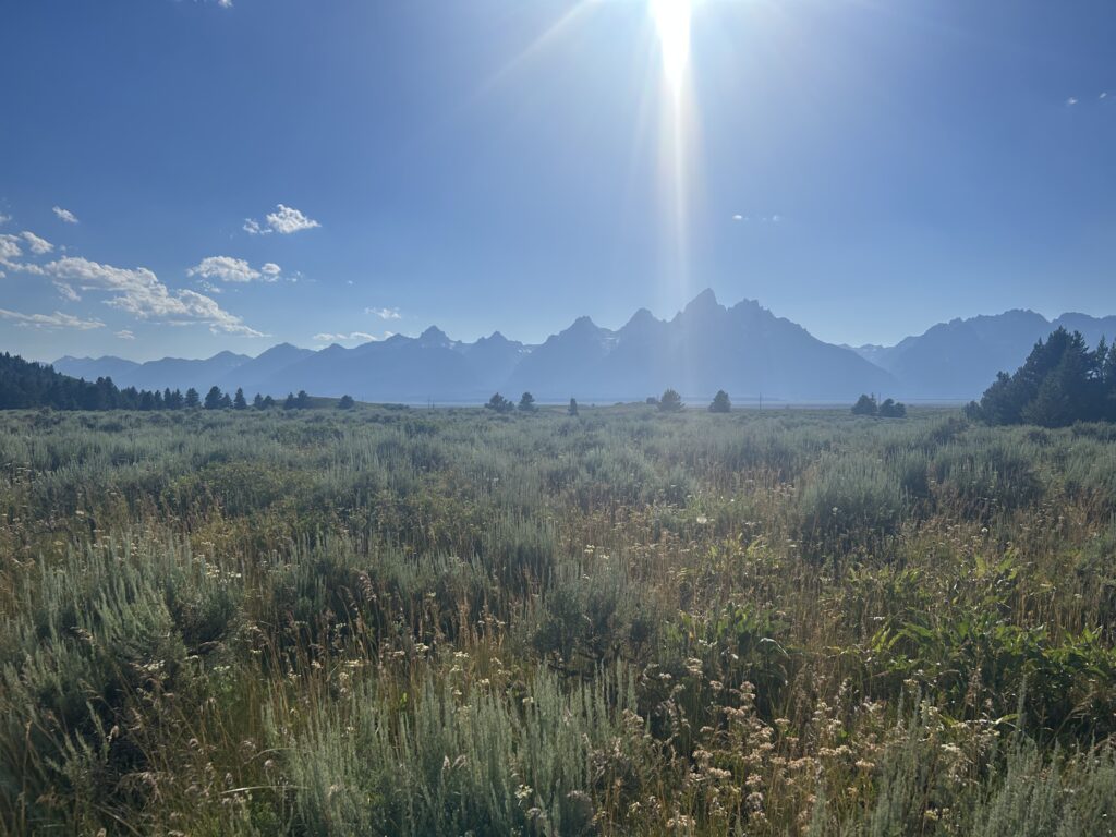 grand teton